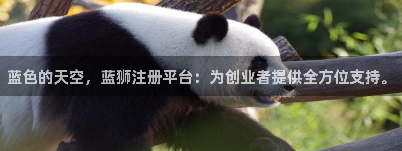 壹号下载官网入口：蓝色的天空，蓝狮注册平台：为创业者提供全方位支持。