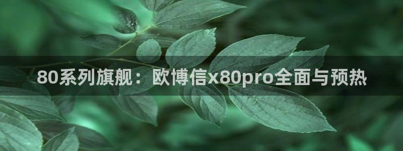 万事娱乐网站：80系列旗舰：欧博信x80pro全面与预热