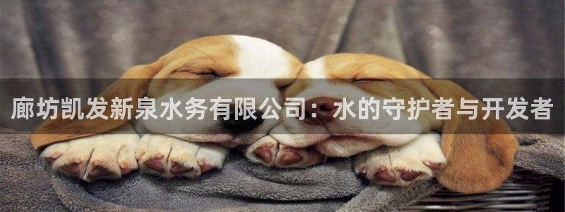 壹号电子娱乐app：廊坊凯发新泉水务有限公司：水的守护者与开发者