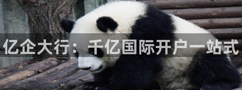 壹号电子娱乐app下载安装：亿企大行：千亿国际开户一站式