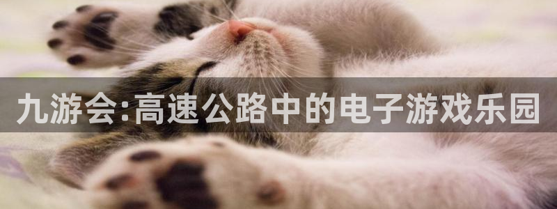 壹号平台娱乐：九游会:高速公路中的电子游戏乐园