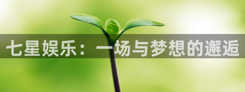 壹号电子娱乐app下载：七星娱乐：一场与梦想的邂逅
