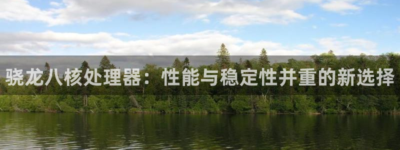 万事娱乐平台app下载：骁龙八核处理器：性能与稳定性并重的新选择
