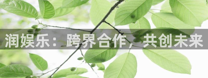 万事娱乐,com：润娱乐：跨界合作，共创未来