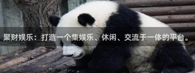 万事娱乐平台app下载安装：聚财娱乐：打造一个集娱乐、休闲、交流于一体的平台。