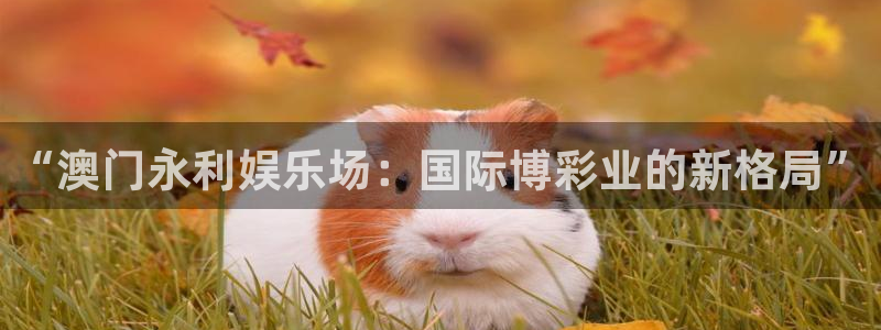 万事娱乐下载入口：“澳门永利娱乐场：国际博彩业的新格局”