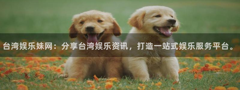万事娱乐下载：台湾娱乐妹网：分享台湾娱乐资讯，打造一站式娱乐服务平台。