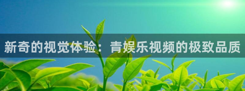 壹号电子娱乐app：新奇的视觉体验：青娱乐视频的极致品质