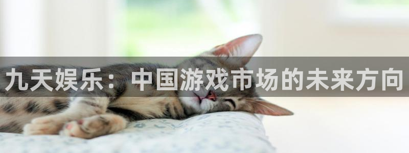 壹号大舞台：九天娱乐：中国游戏市场的未来方向