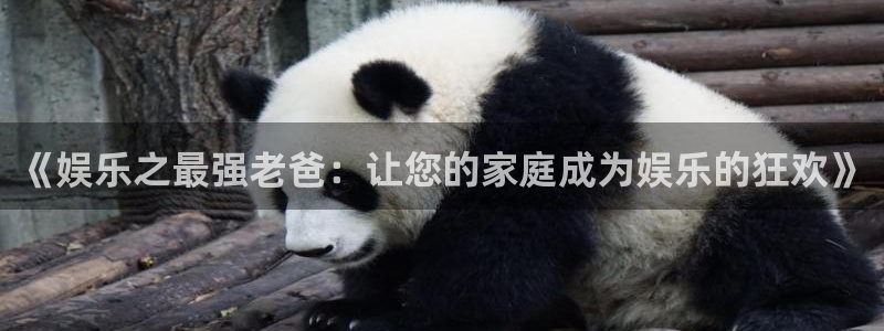 壹号app下载苹果：《娱乐之最强老爸：让您的家庭成为娱乐的狂欢》
