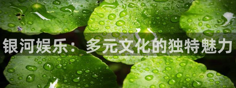 万事娱乐官网入口：银河娱乐：多元文化的独特魅力