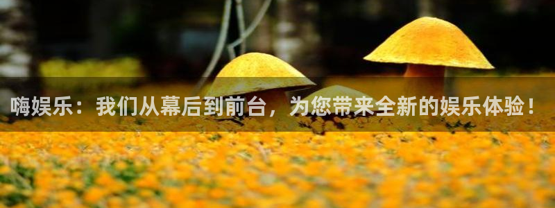 壹号大舞台官网：嗨娱乐：我们从幕后到前台，为您带来全新的娱乐体验！