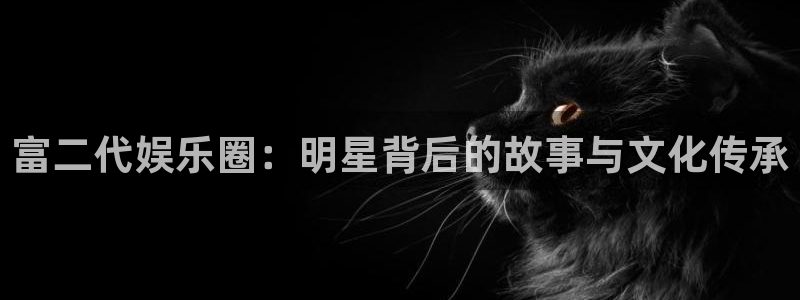万事娱乐官方app下载安装：富二代娱乐圈：明星背后的故事与文化传承