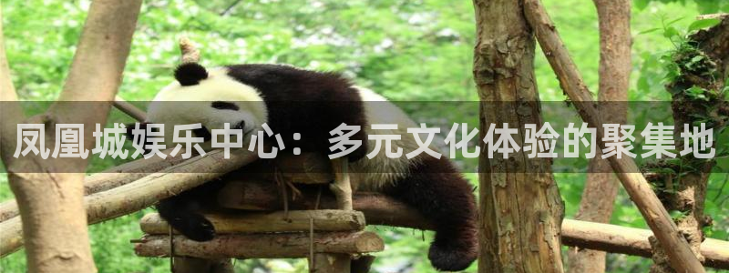 万事娱乐网址：凤凰城娱乐中心：多元文化体验的聚集地