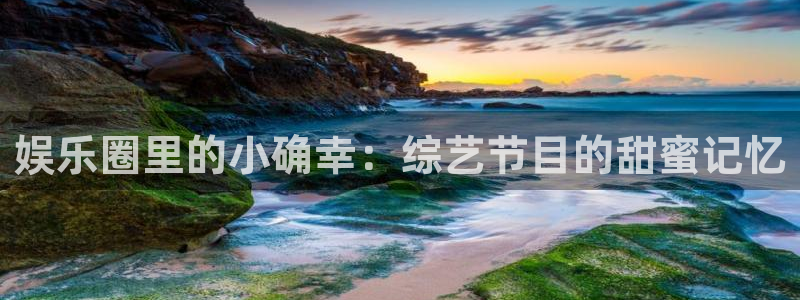壹号大舞台网站：娱乐圈里的小确幸：综艺节目的甜蜜记忆
