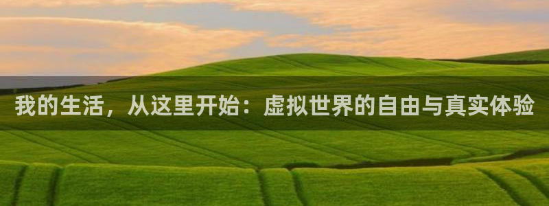 壹号电子娱乐app下载最新版本：我的生活，从这里开始：虚拟世界的自由与真实体验