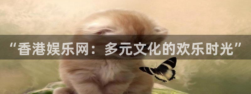 壹号平台娱乐：“香港娱乐网：多元文化的欢乐时光”