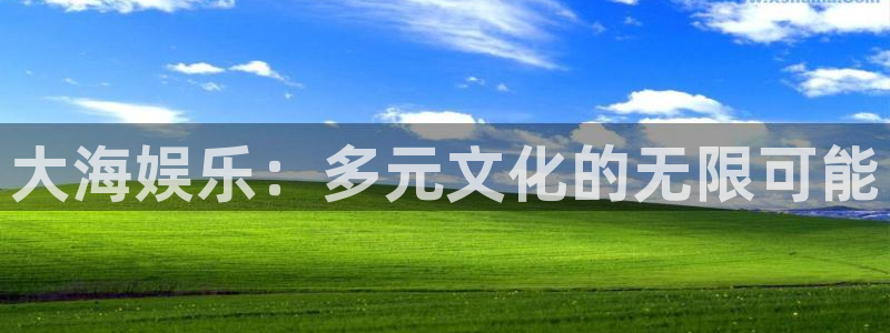 壹号大舞台：大海娱乐：多元文化的无限可能