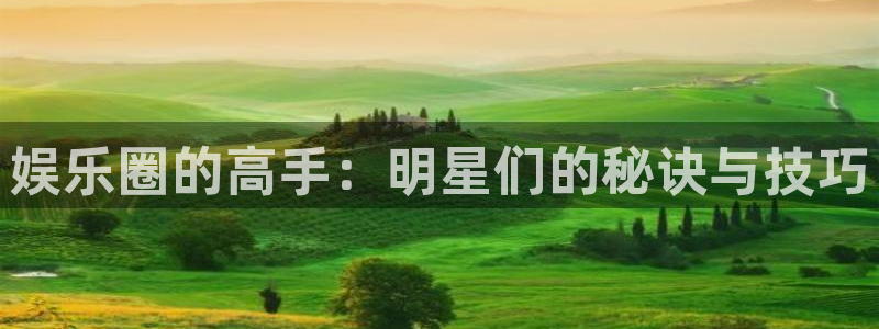 万事娱乐平台app下载安装：娱乐圈的高手：明星们的秘诀与技巧