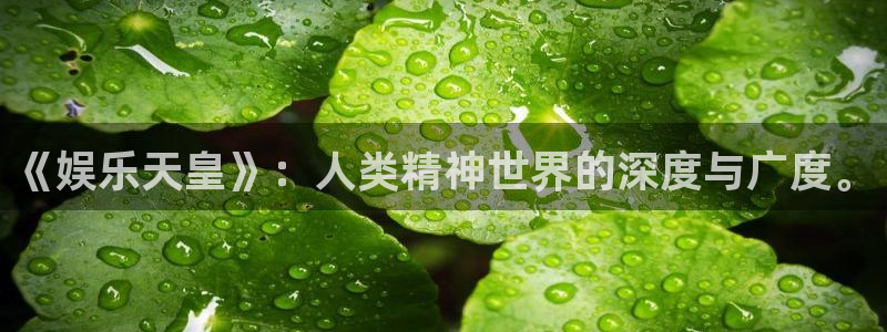 壹号电子娱乐app：《娱乐天皇》：人类精神世界的深度与广度。