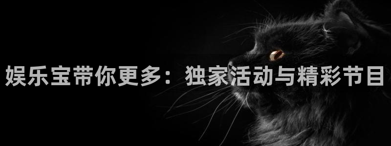 万事娱乐电子游戏官网：娱乐宝带你更多：独家活动与精彩节目