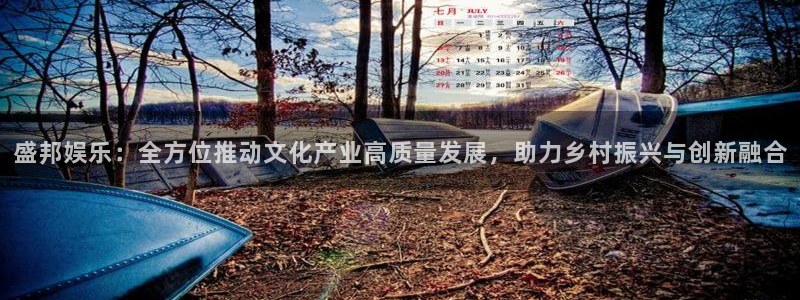壹号电子娱乐app下载最新版：盛邦娱乐：全方位推动文化产业高质量发展，助力乡村振兴与创新融合