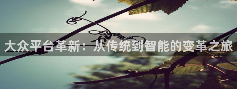 万事娱乐 - ng大舞台,有梦你就来：大众平台革新：从传统到智能的变革之旅
