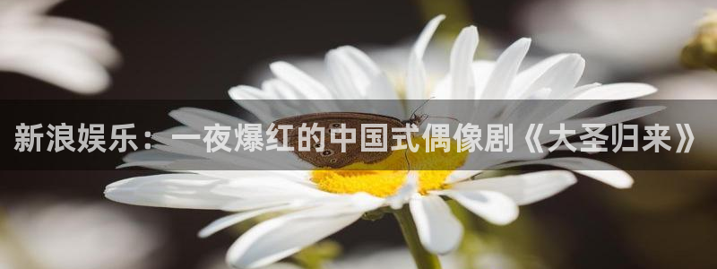 壹号app下载官网娱乐：新浪娱乐：一夜爆红的中国式偶像剧《大圣归来》
